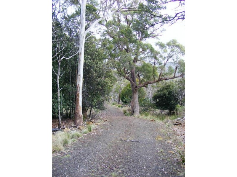 450 Lilydale Road, Underwood TAS 7268