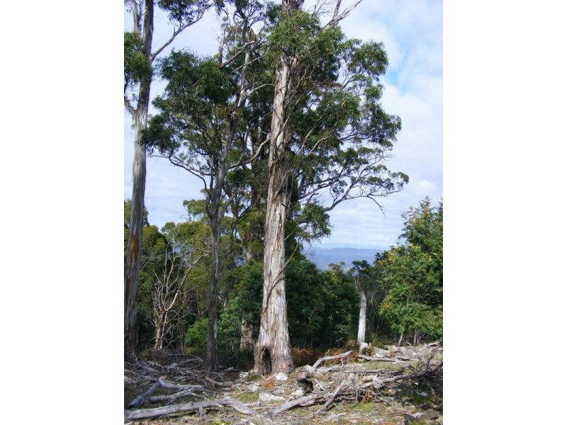 450 Lilydale Road, Underwood TAS 7268