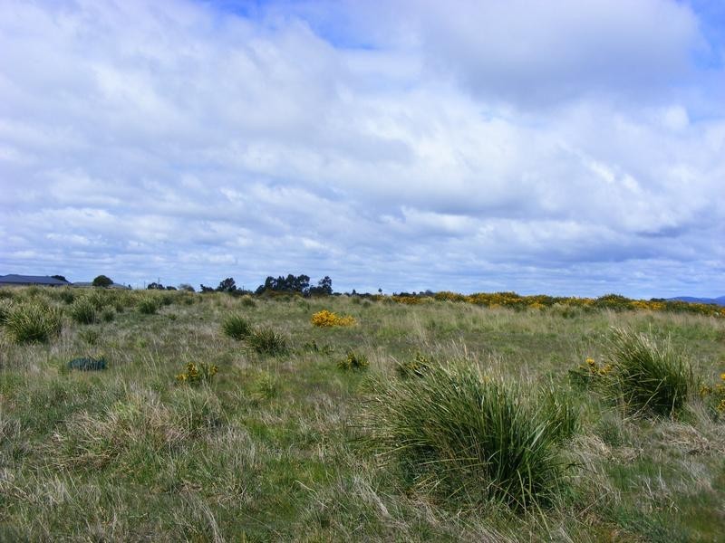 Lot 11,  North Street, George Town TAS 7253