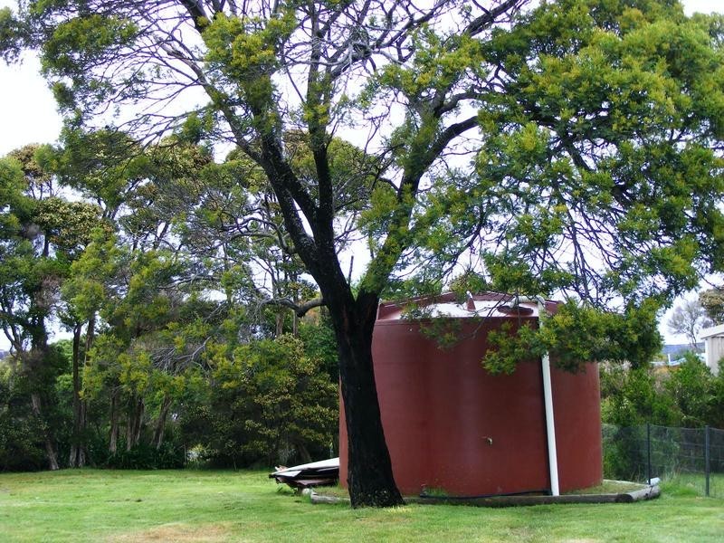 17 Davies Street, Weymouth TAS 7252