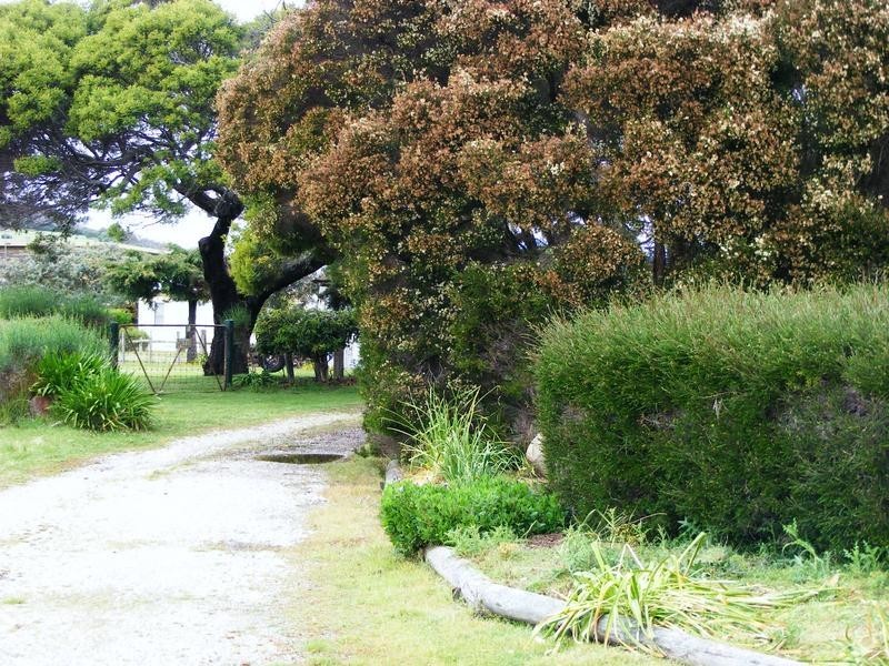 17 Davies Street, Weymouth TAS 7252