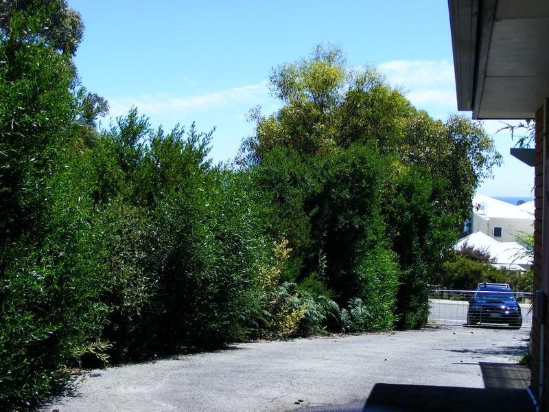 161 Gardners Road, Greens Beach TAS 7270