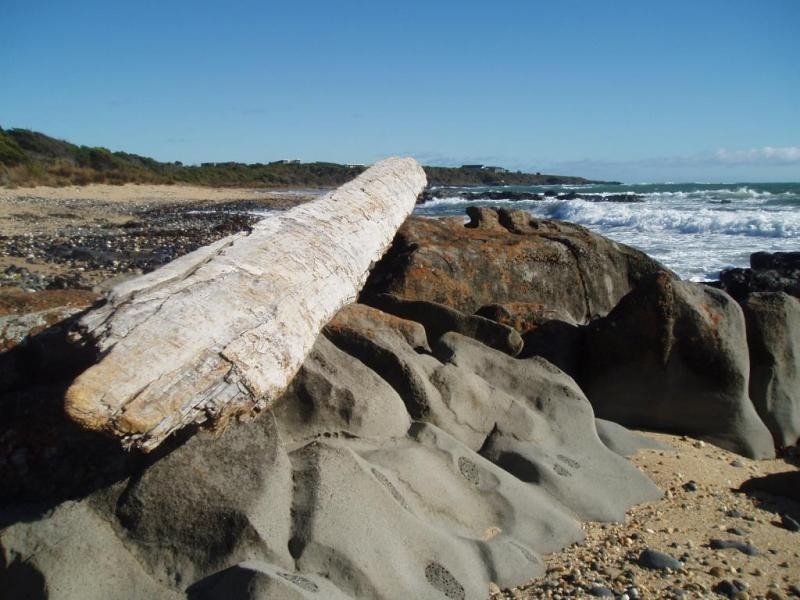 50 Seascape Drive, Lulworth TAS 7252