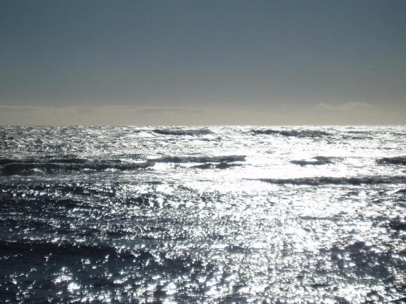 50 Seascape Drive, Lulworth TAS 7252