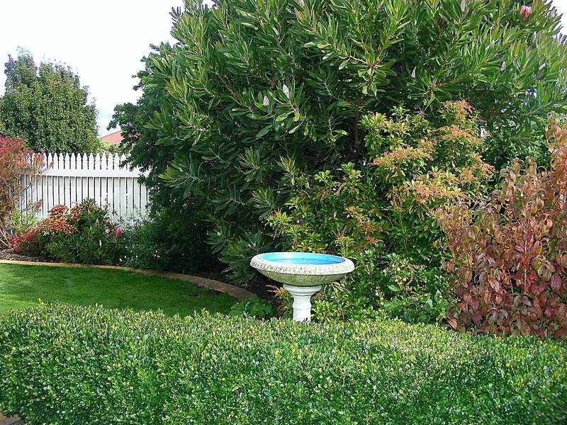 6 Wellington Street, George Town TAS 7253