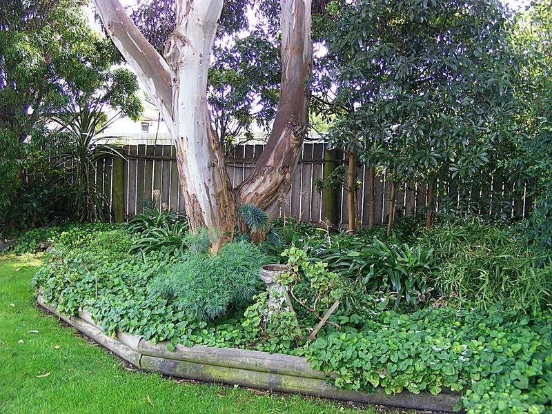 6 Wellington Street, George Town TAS 7253