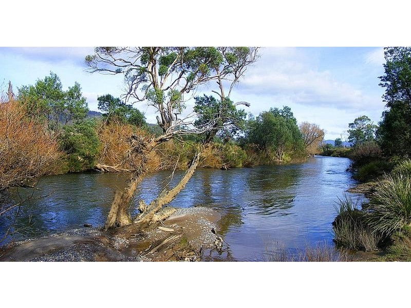 Leona Road, Avoca TAS 7213