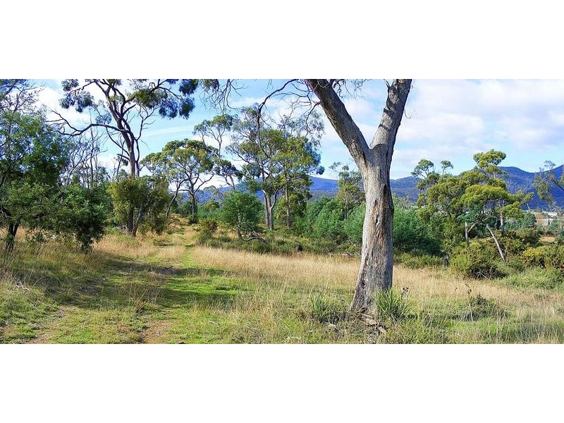 Leona Road, Avoca TAS 7213