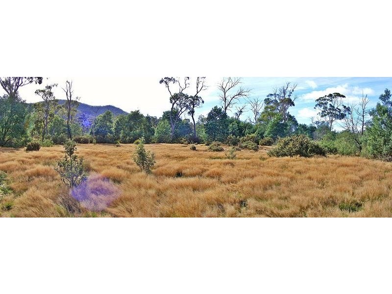 Leona Road, Avoca TAS 7213
