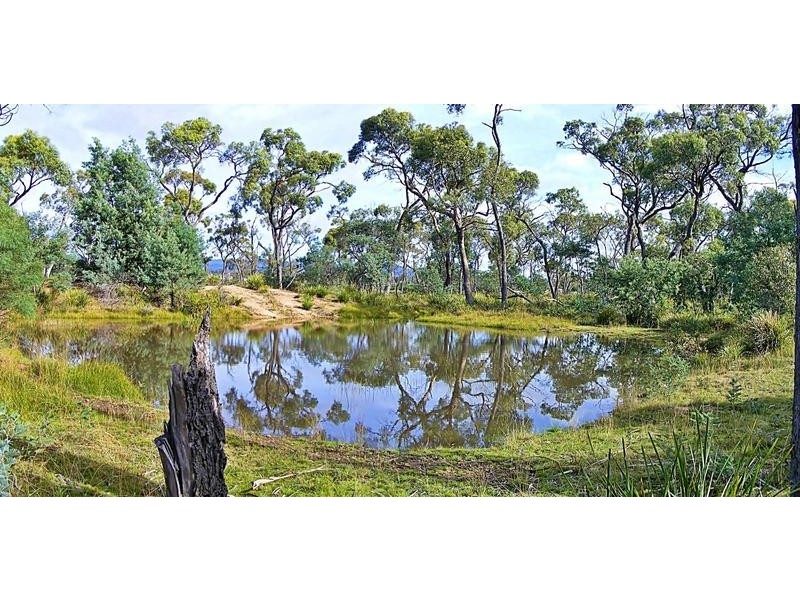 Leona Road, Avoca TAS 7213