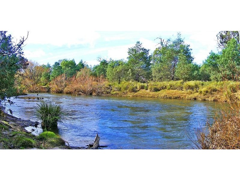 Leona Road, Avoca TAS 7213