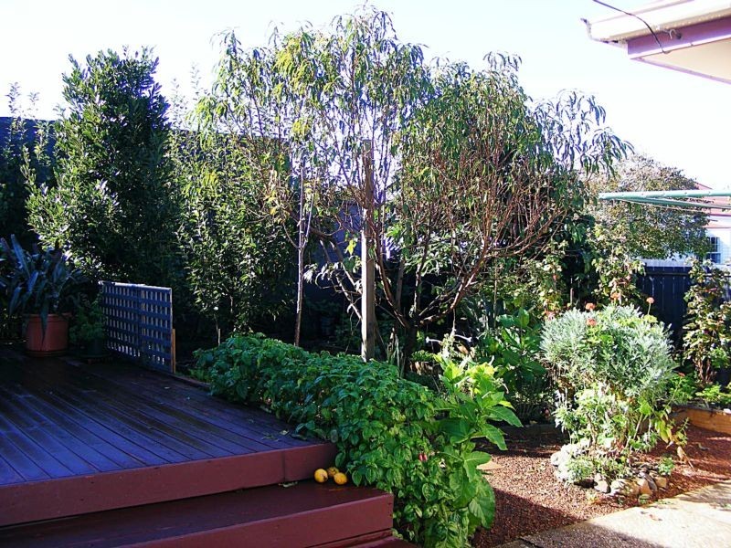 4 Macquarie Street, George Town TAS 7253