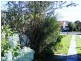 4 Macquarie Street, George Town TAS 7253