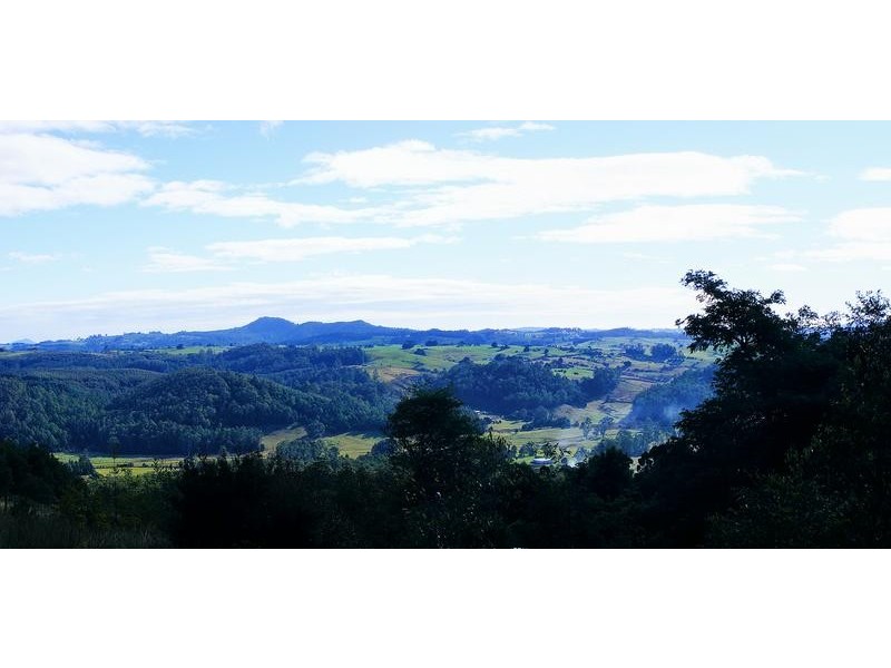 164 Wildlife Road, Sheffield TAS 7306