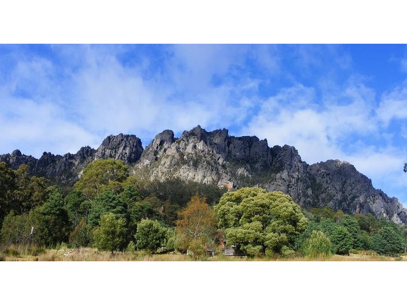 164 Wildlife Road, Sheffield TAS 7306