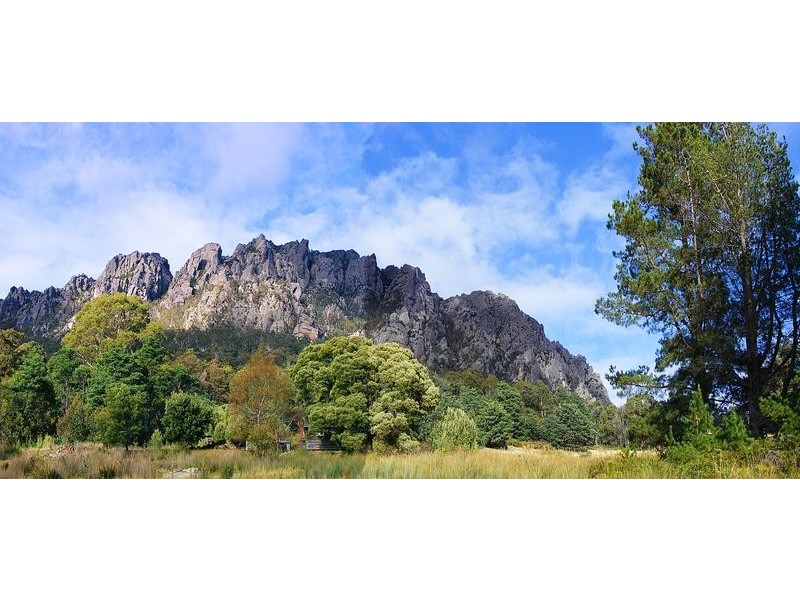 164 Wildlife Road, Sheffield TAS 7306