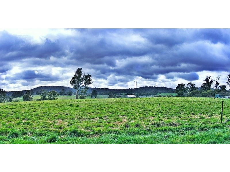 359 Hillwood Main Road, Hillwood TAS 7252