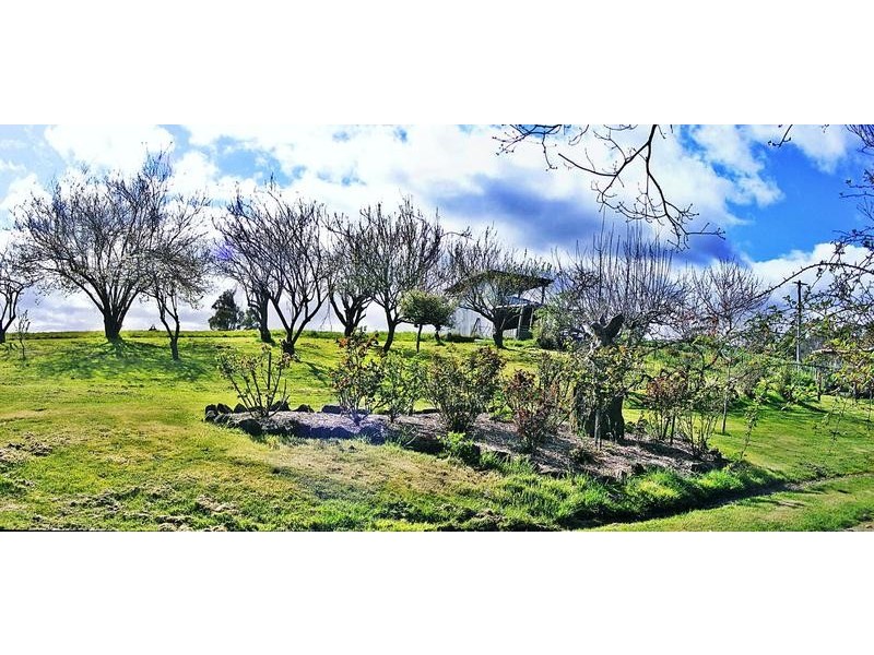 359 Hillwood Main Road, Hillwood TAS 7252