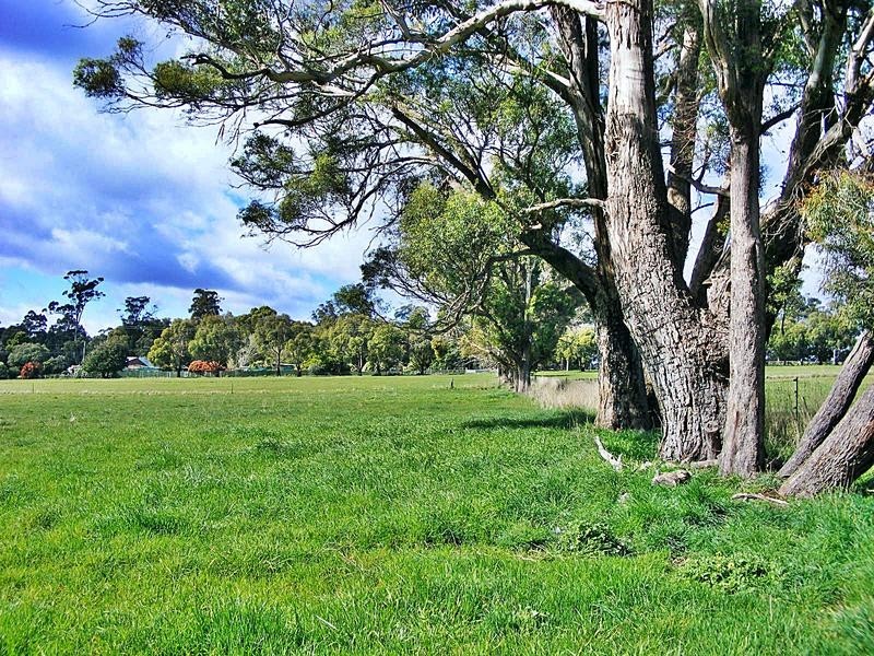 359 Hillwood Main Road, Hillwood TAS 7252