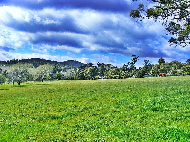 359 Hillwood Main Road, Hillwood TAS 7252