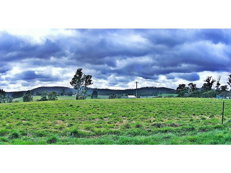 359 Hillwood Main Road, Hillwood TAS 7252