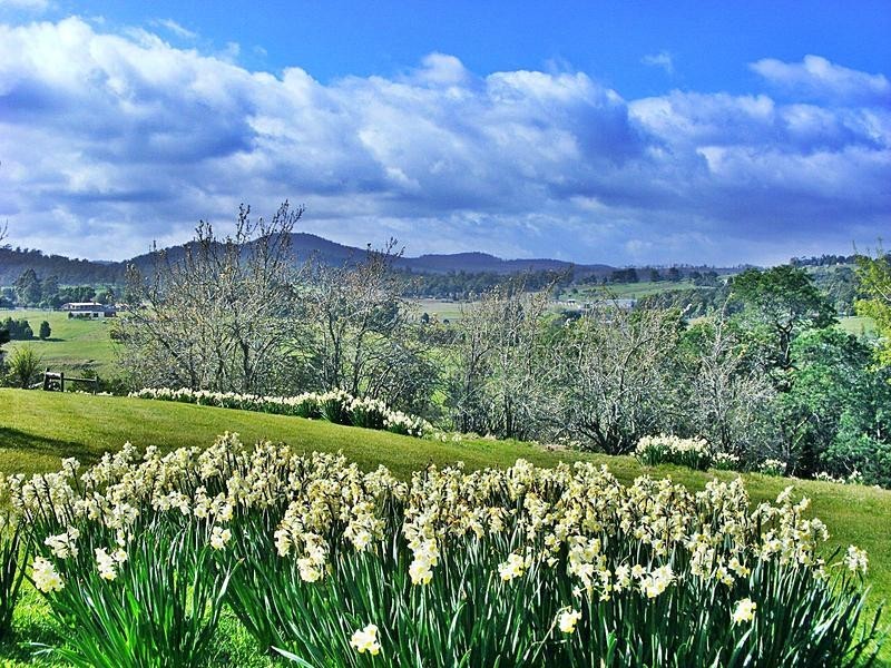 2 Craigburn Road, Hillwood TAS 7252