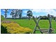 111 Douglas Road, Lefroy TAS 7252