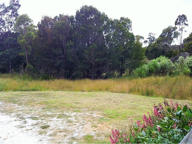 5005 Bridport Highway, Pipers River TAS 7252