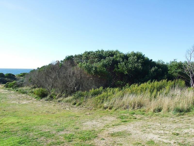 126 Bell Buoy Beach Road, Low Head TAS 7253