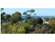 21 Hurst Street, Lulworth TAS 7252