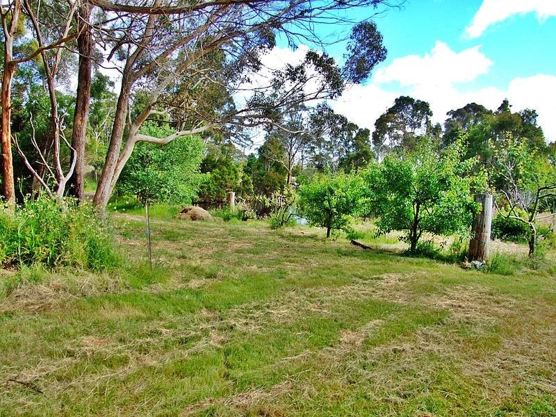 19 Murphys Road, Mount Direction TAS 7252