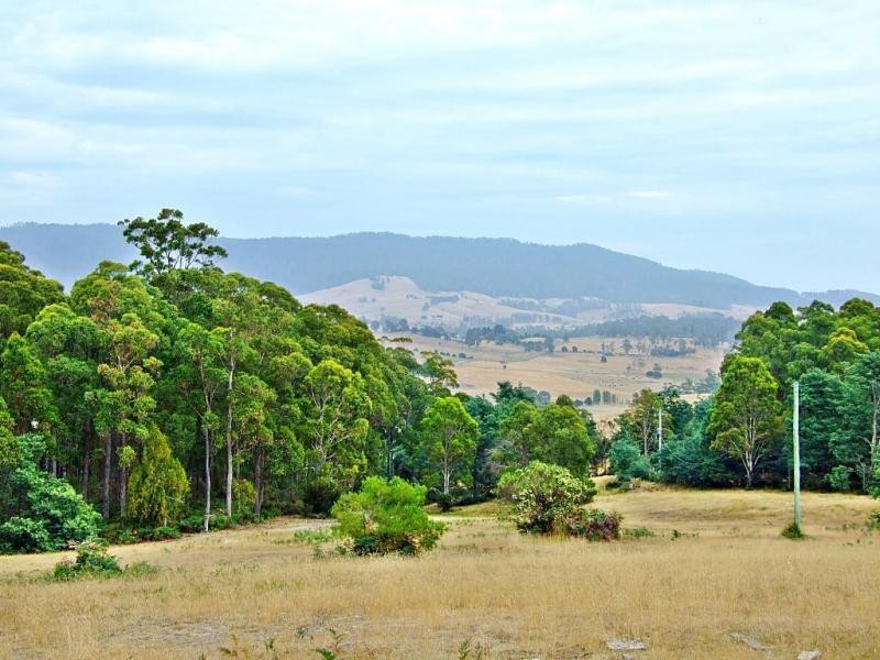 400 Paling Track, Bangor TAS 7267