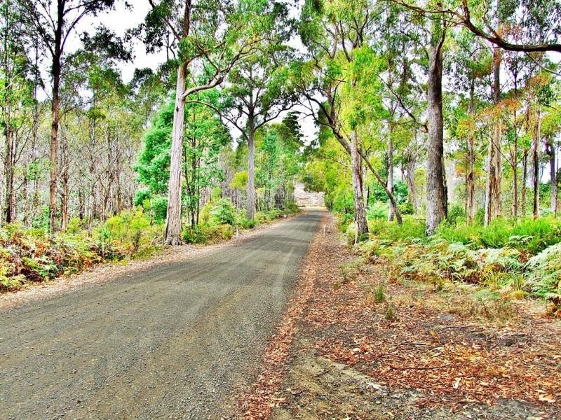 400 Paling Track, Bangor TAS 7267