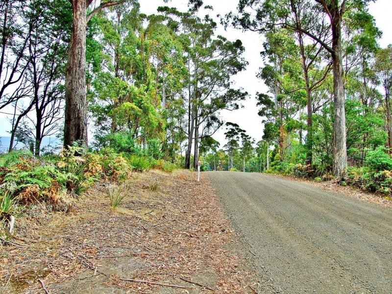 400 Paling Track, Bangor TAS 7267