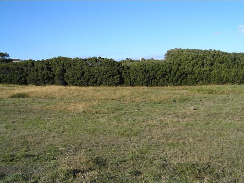 4 William Parish Drive, Low Head TAS 7253