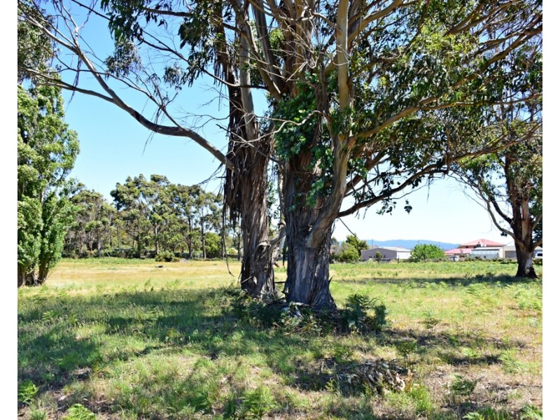 2-12 Edgar Street, George Town TAS 7253