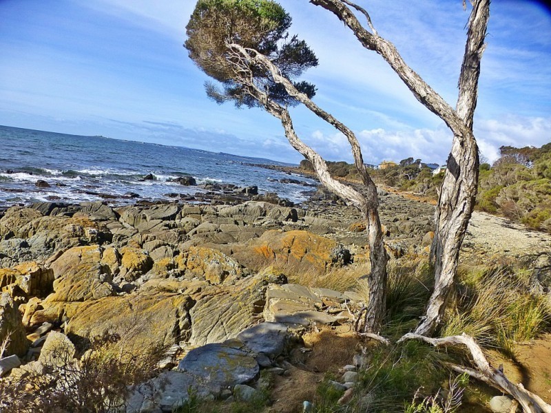 71 Beach Crescent, Greens Beach TAS 7270