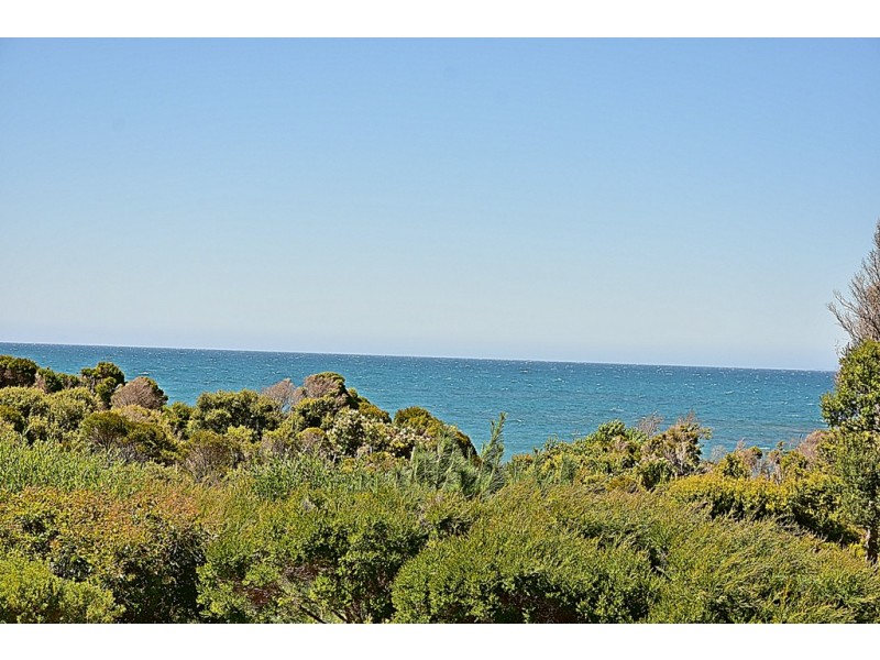26 Bush Haven, Lulworth TAS 7252