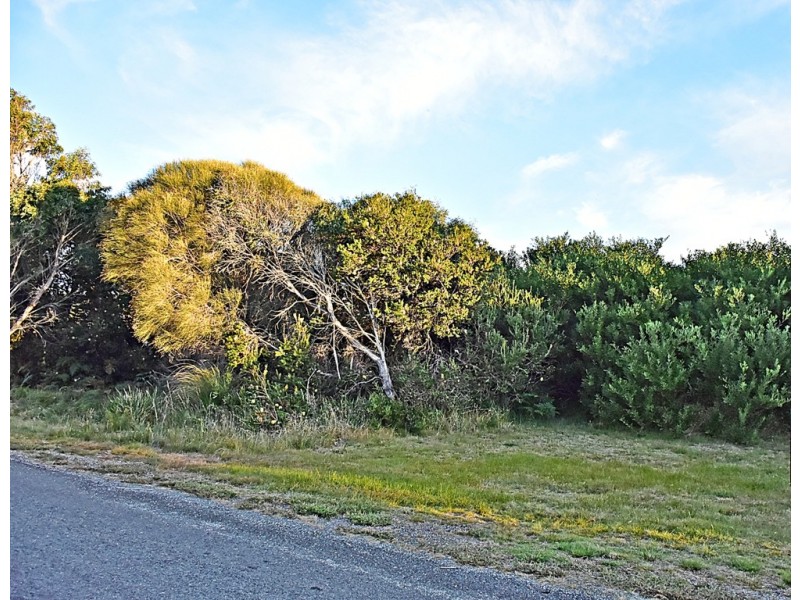 11 Bush Haven Drive, Lulworth TAS 7252