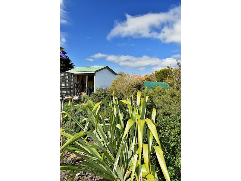 6 The Esplanade, Beechford TAS 7252