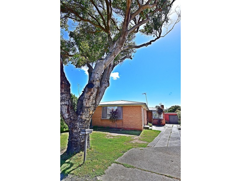 8 Anderson Avenue, George Town TAS 7253