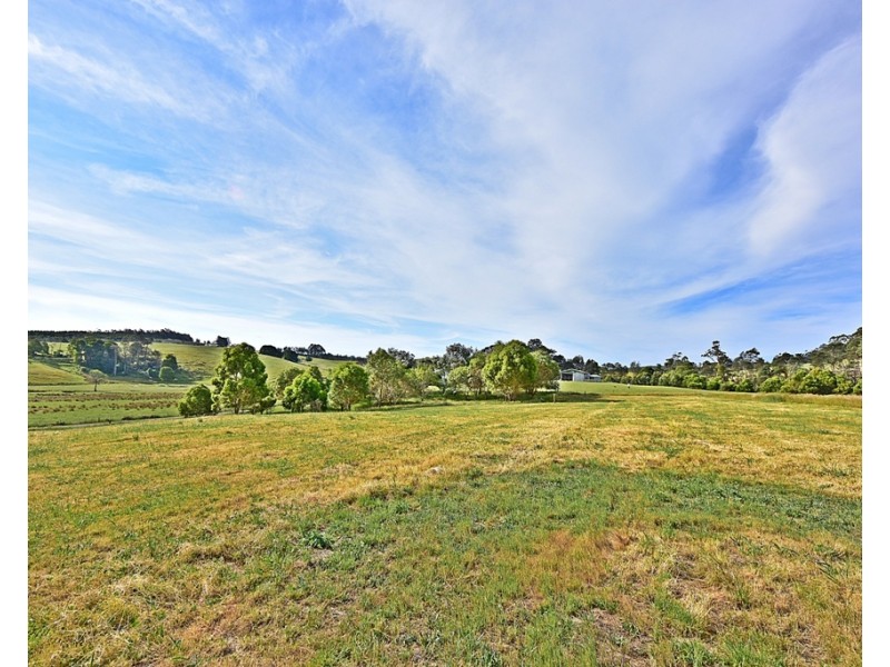 316 North Lilydale Road, Lilydale TAS 7268