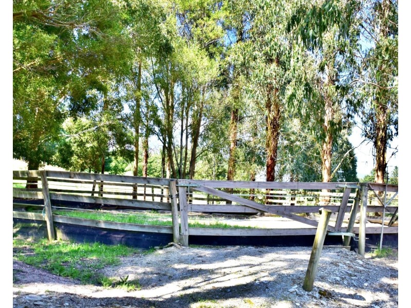316 North Lilydale Road, Lilydale TAS 7268