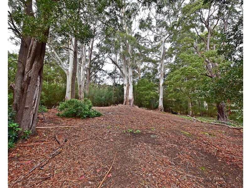 76 Walkers Road, Lilydale TAS 7268