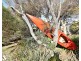135 Bell Buoy Beach Road, Low Head TAS 7253