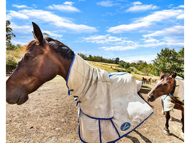 2 Waldhorn Drive, Grindelwald TAS 7277