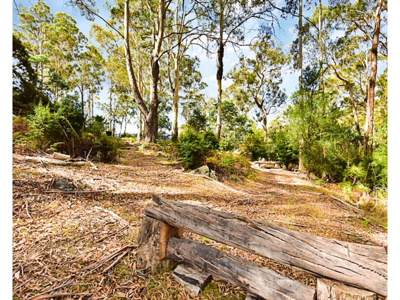 2 Waldhorn Drive, Grindelwald TAS 7277