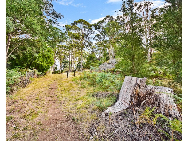 2 Waldhorn Drive, Grindelwald TAS 7277