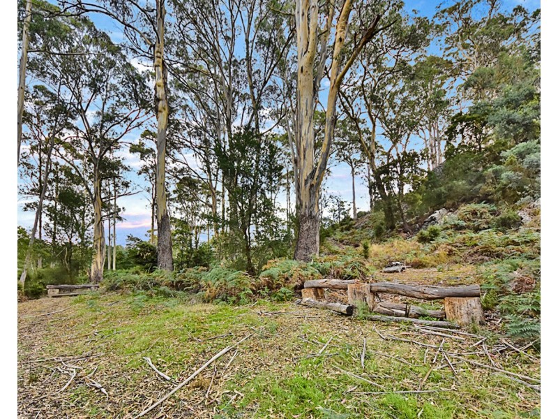 2 Waldhorn Drive, Grindelwald TAS 7277