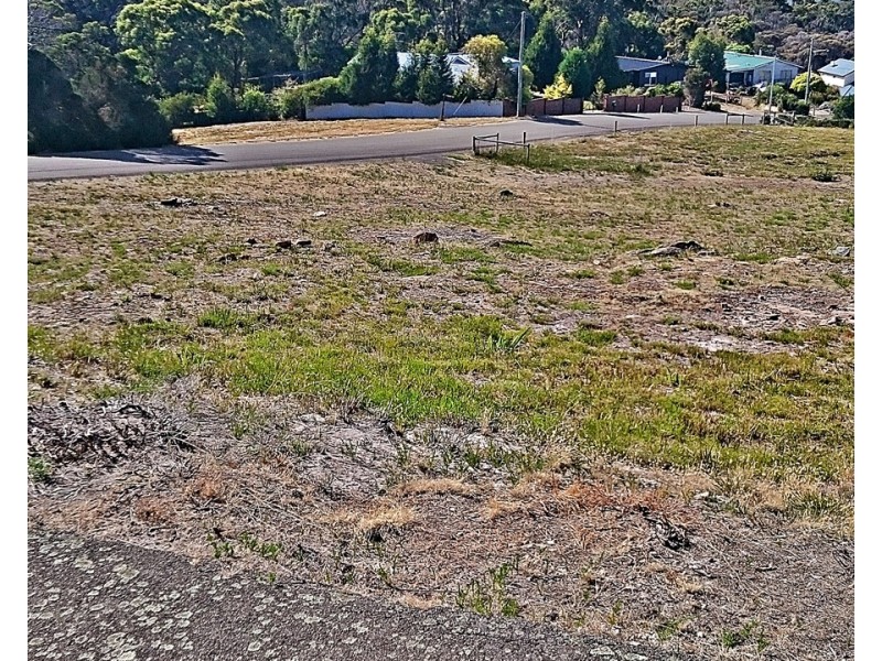 Lot 50, 24 Ocean View Drive, Greens Beach TAS 7270